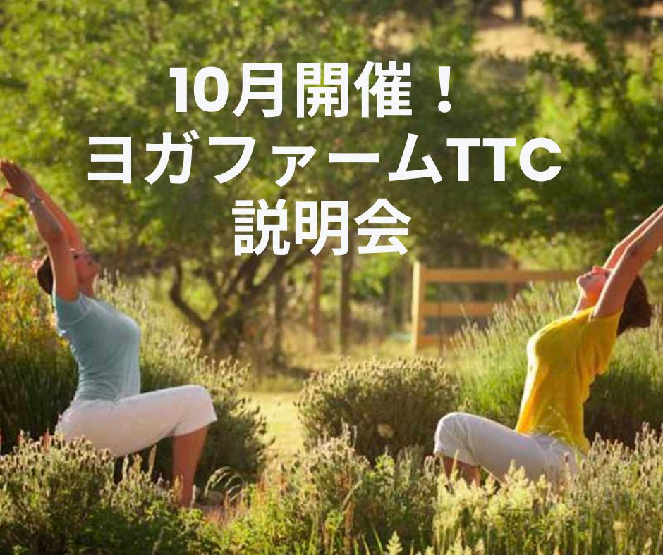 回復 (4)